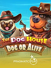 The Dog House – Dog or Alive