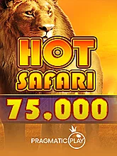 Hot Safari